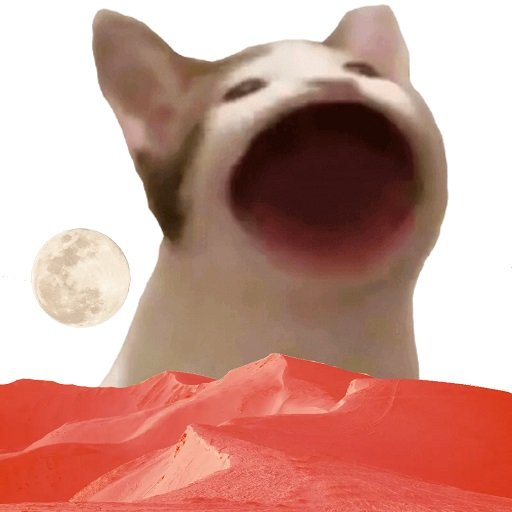 Кричащий кот