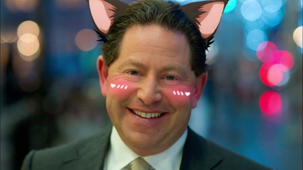 Бобби котик