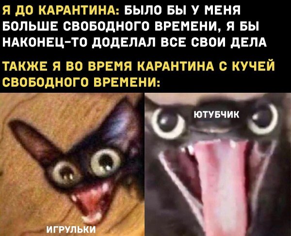 Упоротые кошки