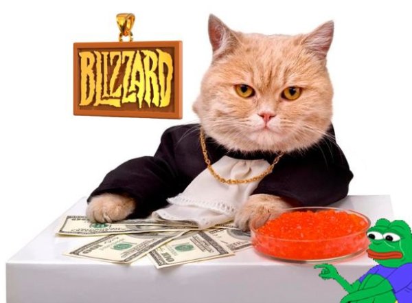 Котик бобби