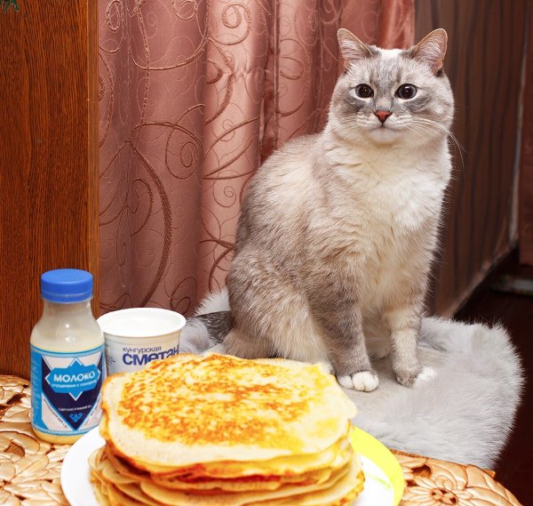 Куот с блинааи