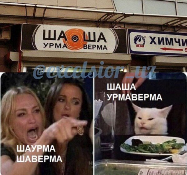 Мемы с котом и вывесками