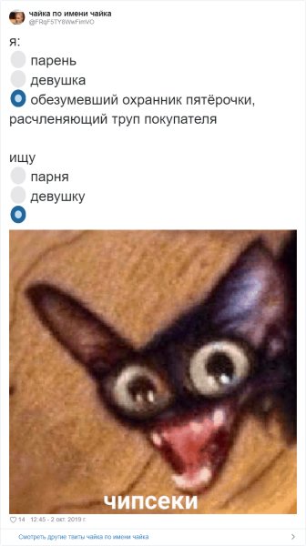 Черный кот Мем чипсеки