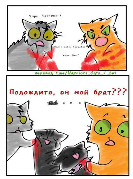 Коты Воители Щербатая