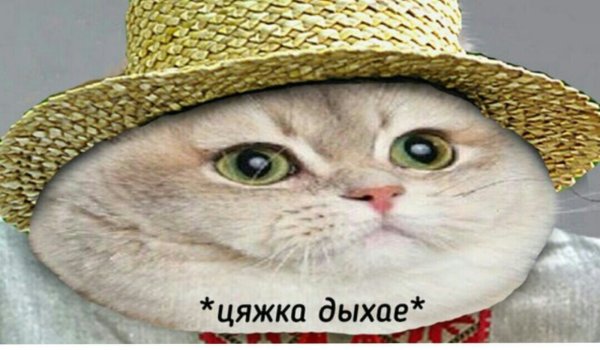 Тяжко вздыхает котик