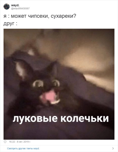 ЧИПСЕКЕ сухареке Мем с котом