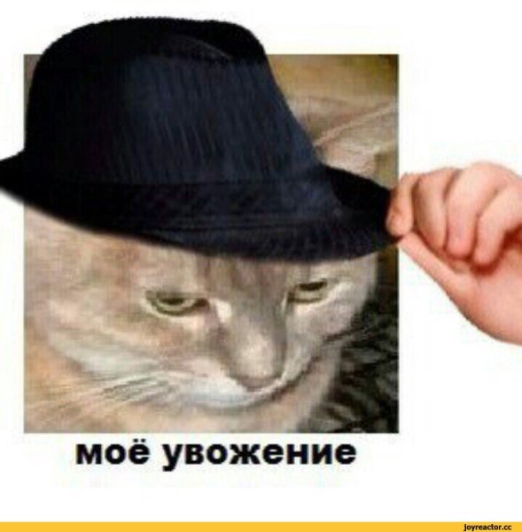 Мое уважение