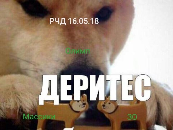 Собака ебитес