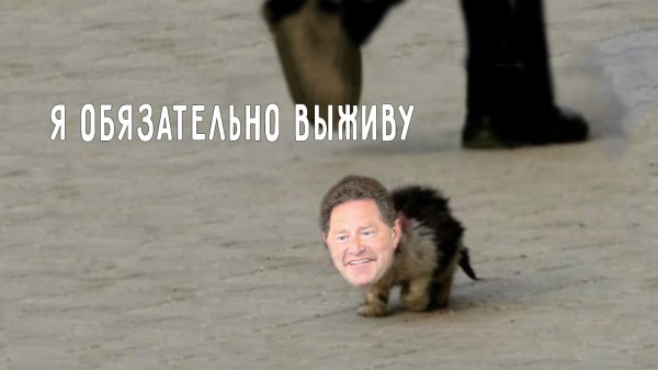 Котик уволен