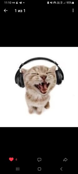 Кот в наушниках