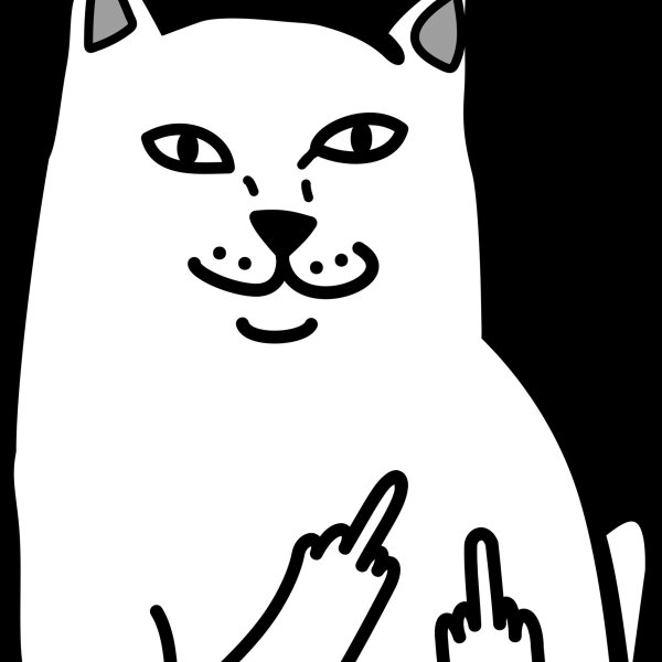 Котик показывает средний палец
