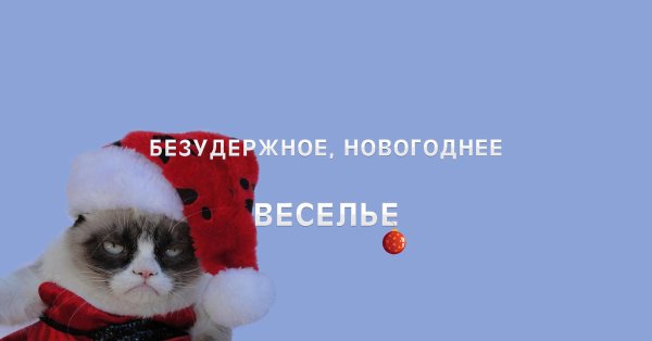 Новогоднее настроение прикол
