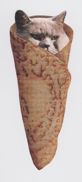 Кот в лаваше