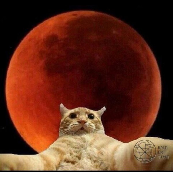 Мемы про луну