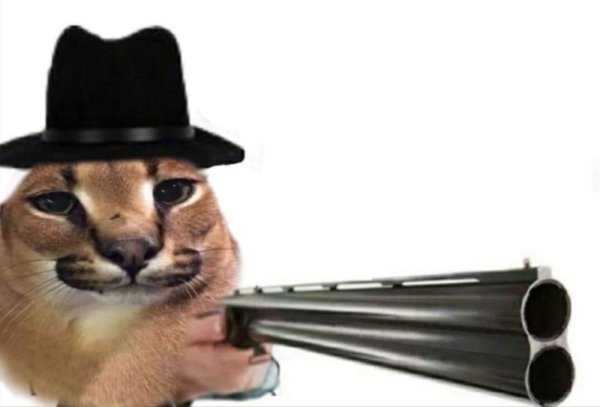 Кот с пистолетом