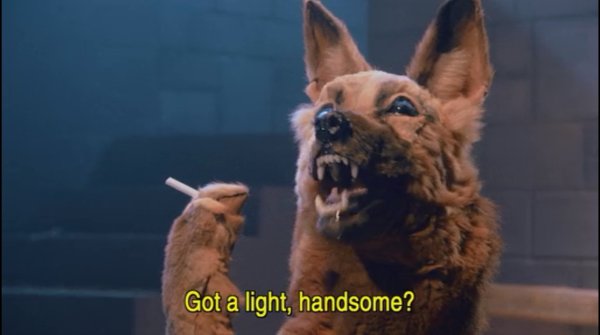 Пес с сигаретой Мем