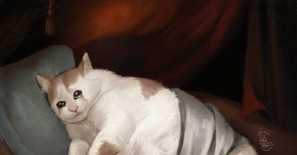 Плачущий кот на подушке