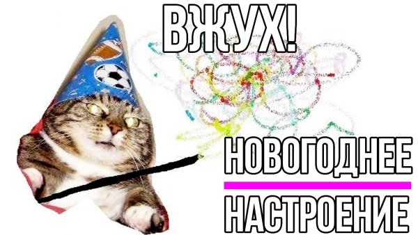 Новогодний кот вжух