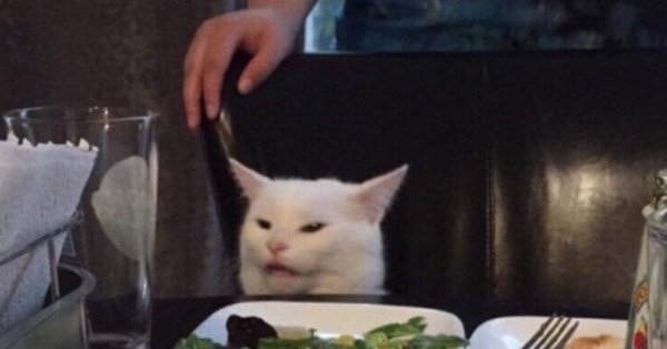 Кот с миской Мем