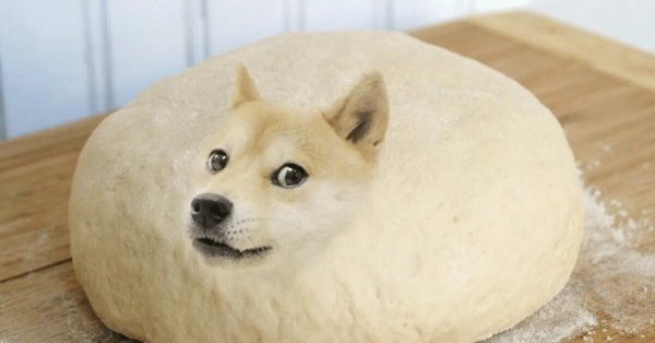 Doge собака