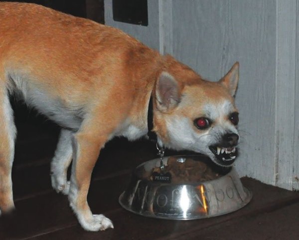 Когда зашел в бухгалтерию в обед