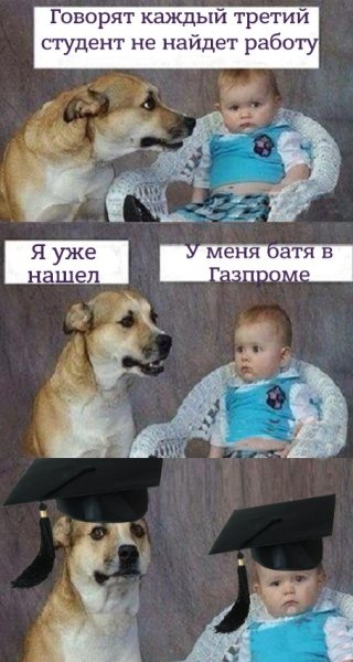 Про собак и детей