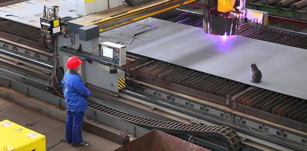 Кот на заводе Мем