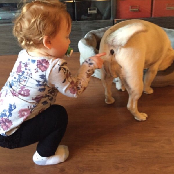 Смешные картинки