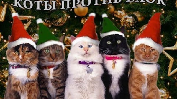 Новогодние мемы с котиками