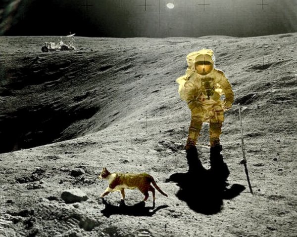 Высадка на Луне юмор