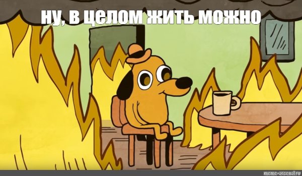 Собака горит Мем