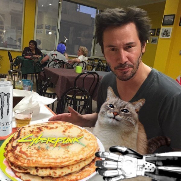 Кот с блинами