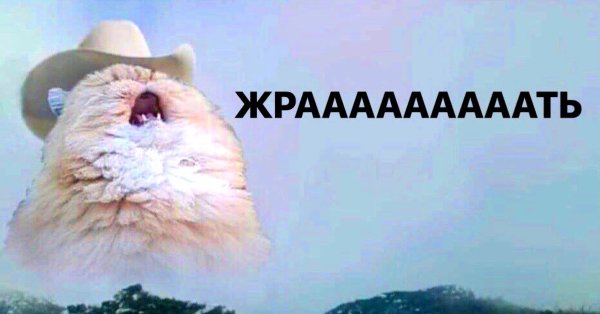 Орущий кот
