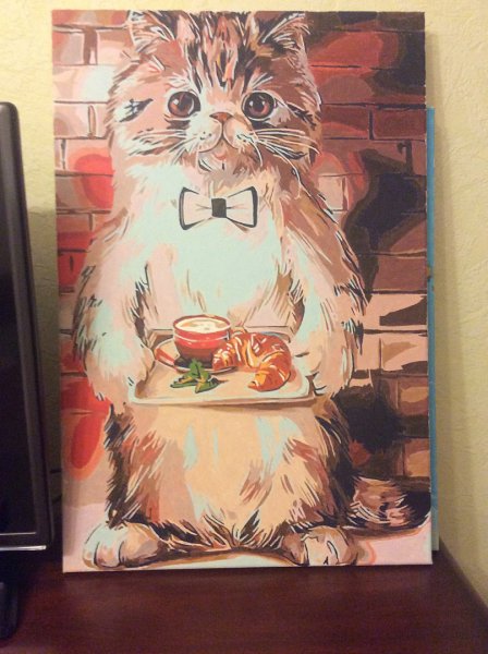 Кот с вином картина по номерам