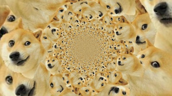 Doge собака