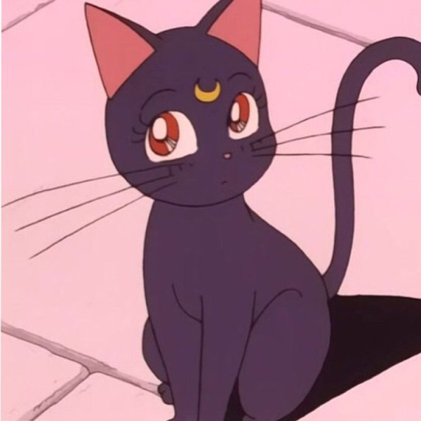 Сейлормун Сейлор Луна кошка