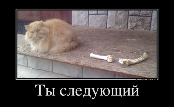 Ты следующий демотиватор