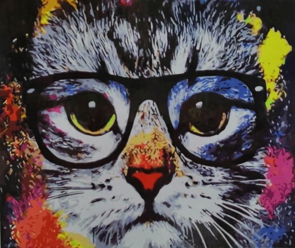 Картина по номерам кот в очках