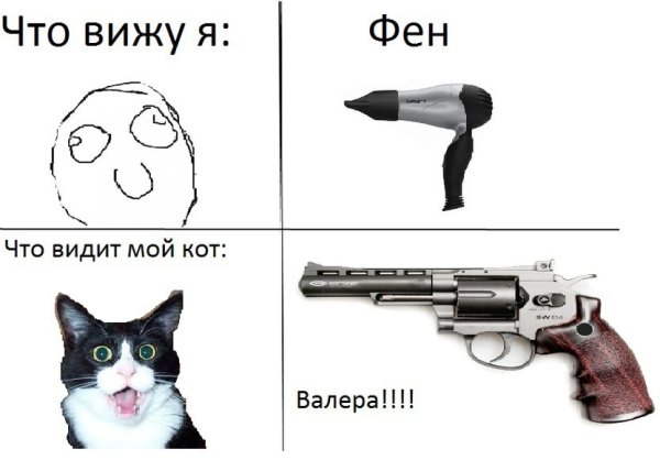 Смешной кот Мем