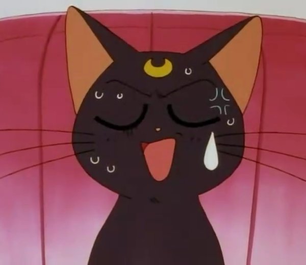 Сейлормун кошка Луна