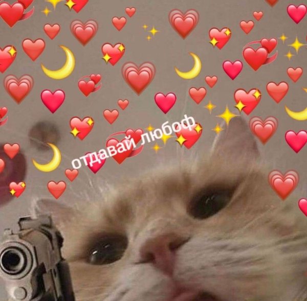 Милые котики с сердечками