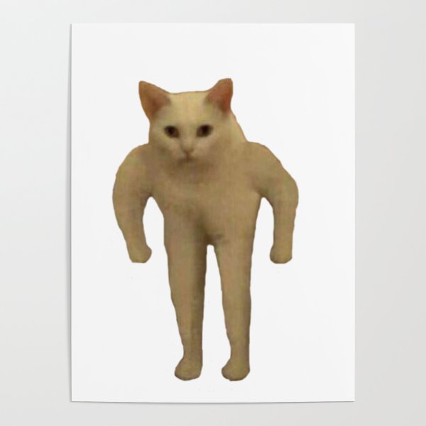 Кот Мем на прозрачном фоне