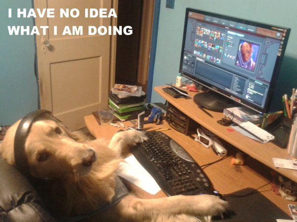 Собака сидит за компом