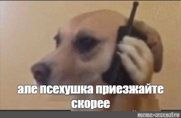 Собака с телефоном