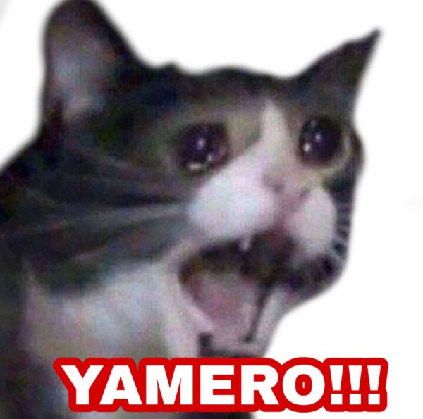 Плачущий кот