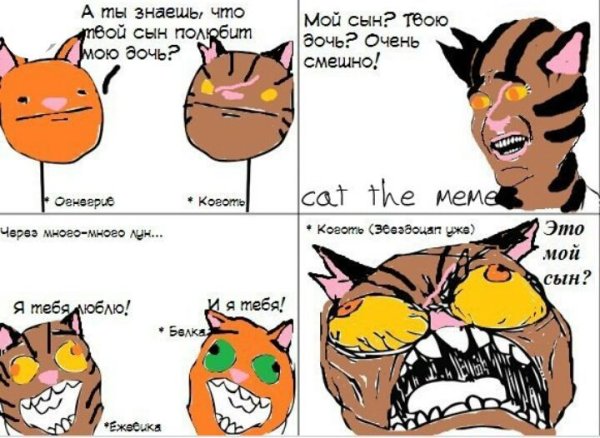 Коты Воители комиксы