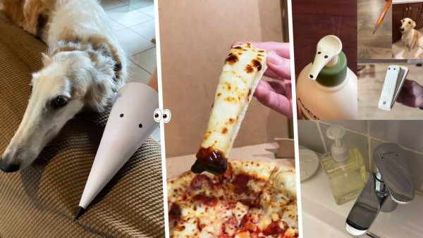 Борзая собака Мем