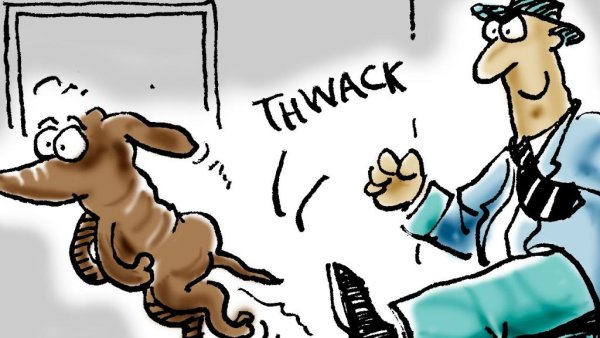 Пинок собаке