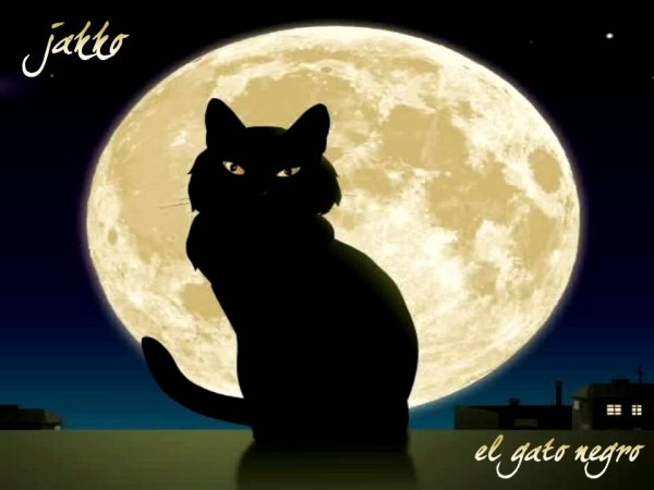 Черные кошки породы аниме