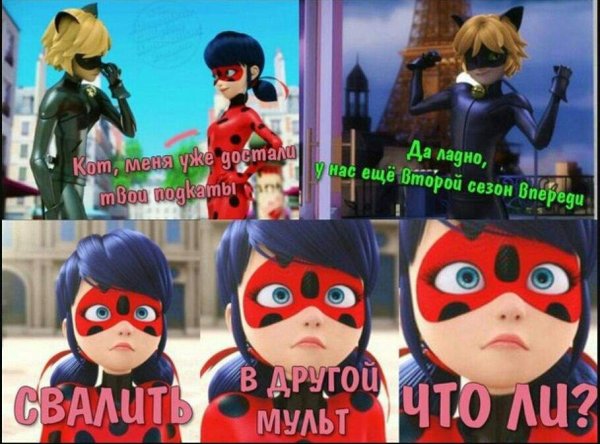 Шутки супер кота